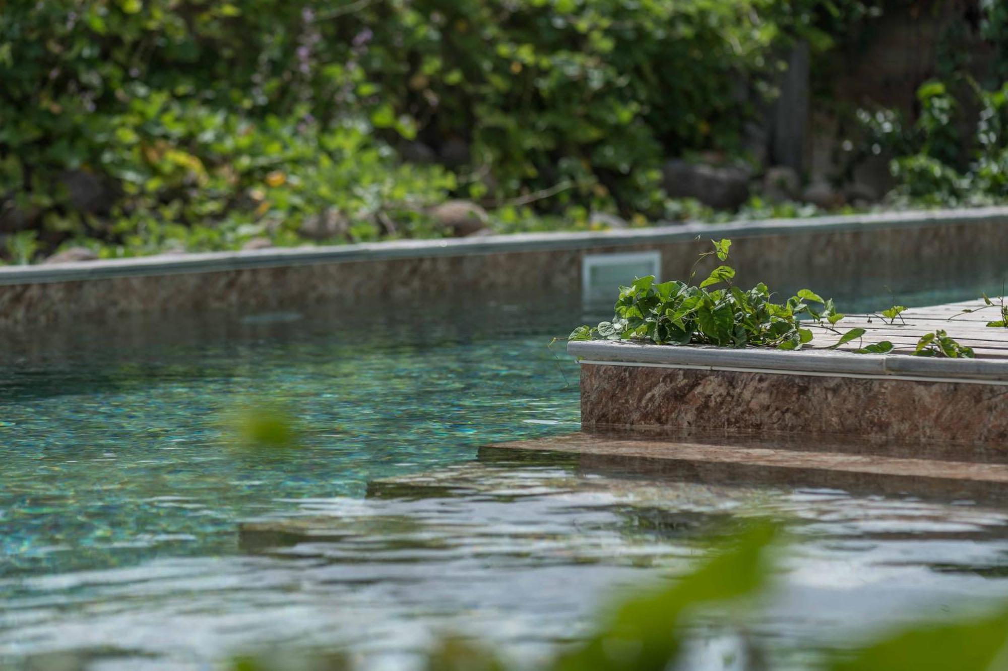 T2 Moderne Avec Piscine Oasis De Nature Et Serenite Petit-Canal Bagian luar foto